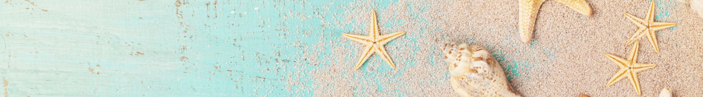 Los imprescindibles del verano