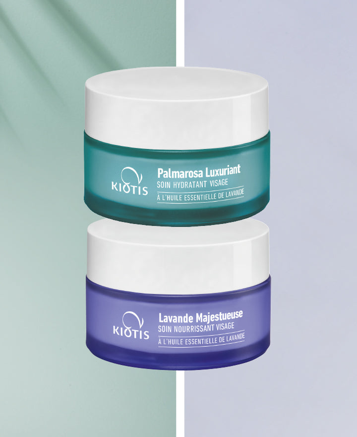 <p><strong>Aprovecha un super descuento<br/></strong><br/><br/><br/><br/></p>